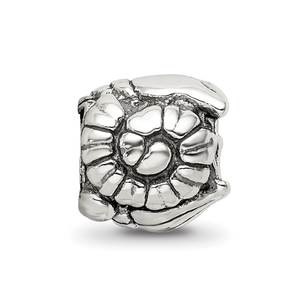 Sterlingsilber Reflections Shells Perle